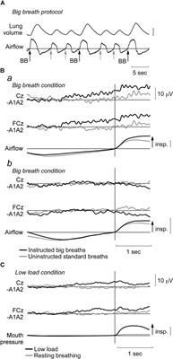 The Relationship Between Respiratory-Related Premotor Potentials and Small Perturbations in Ventilation